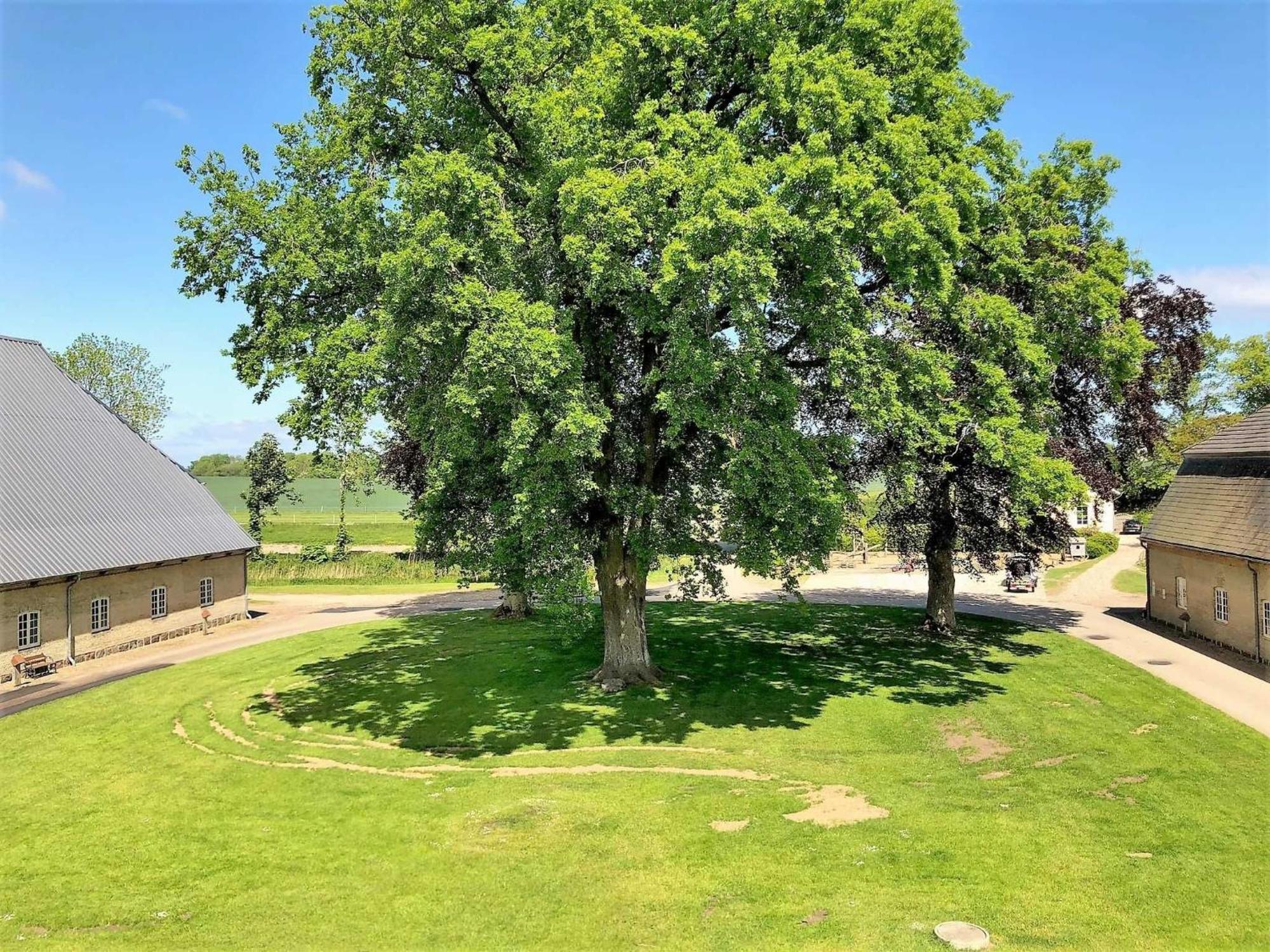 Ferienwohnungen Herrenhaus Gut Oestergaard Steinberg  Luaran gambar